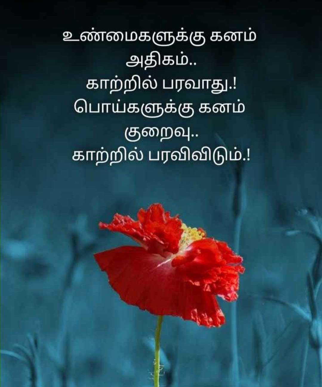 Tamil Motivational Quotes Photos & Images