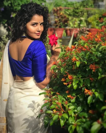 Actress Anupama Parameswaran Onam Saree Photo