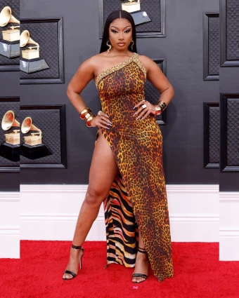 Megan Thee Stallion looked hot in the animal-printed Roberto Cavalli dress