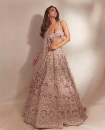 Vaani Kapoor cuts a statusque figure in the embellished lehenga