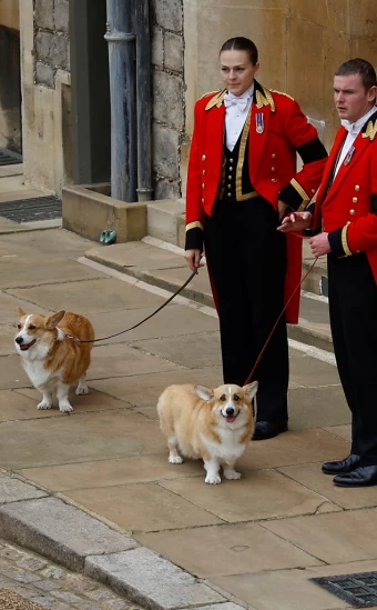 Queen Elizabeth II and Her Dogs Through the Years