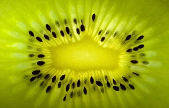 Dazzling Macro Photograph Of The Core Of A Kiwi Fruit Highlighting Its Translucent Flesh And Tiny Black Seeds
