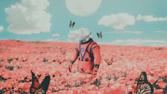 Girly Aesthetic Profile Picture Of An Astronaut Standing On A Pink Flower Field With Flying Butterflies Under Bright Cloudy Blue Sky