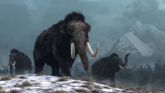 A Wallpaper Image Of A Group Of Mammoths In A Frozen Mountain