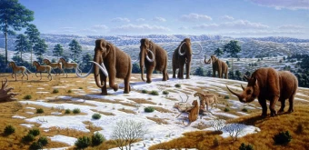 Group Of Mammoths Following The Snowy Path With Other Animals.