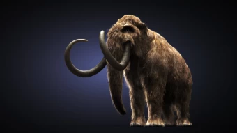Mammoth In 3d Complete With All The Details Making It Look Realistic