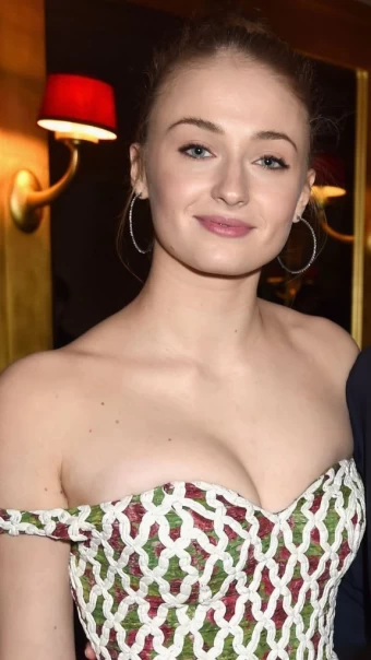 The Beautiful Sophie Turner