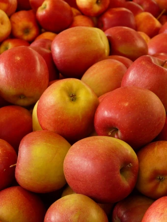 apple fruit vitamins frisch healthy ripe red 4k wallpaper