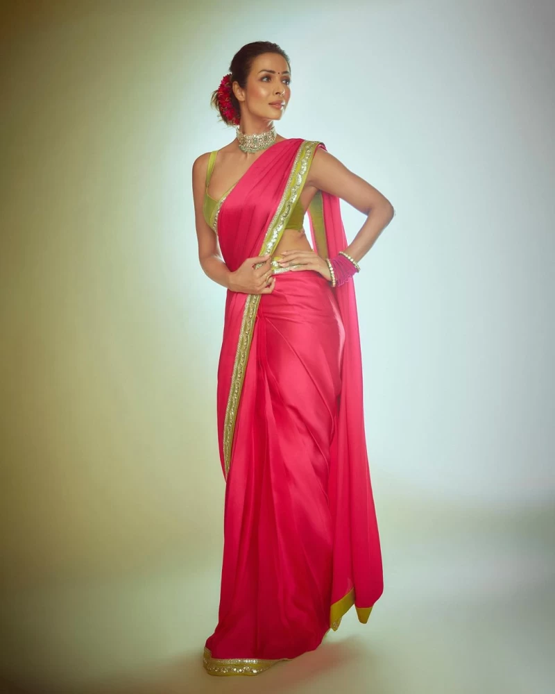Malaika Arora is the epitome of grace and elegance in a gorgeous pink saree with green and silver borders