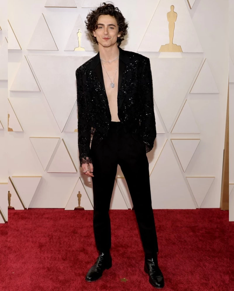 Timothee Chalamet shows some chest in a shirtless custom outfit by Louis Vuitton