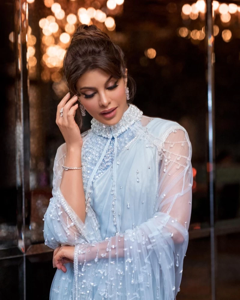 Jacqueline Fernandez dresses up the saree with a semi-sheer cape.