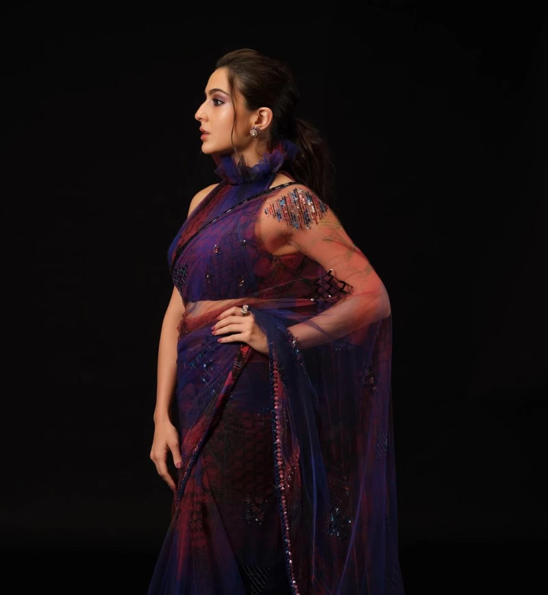 Sara Ali Khan looks gorgeous in the semi-sheer saree with the halterneck blouse