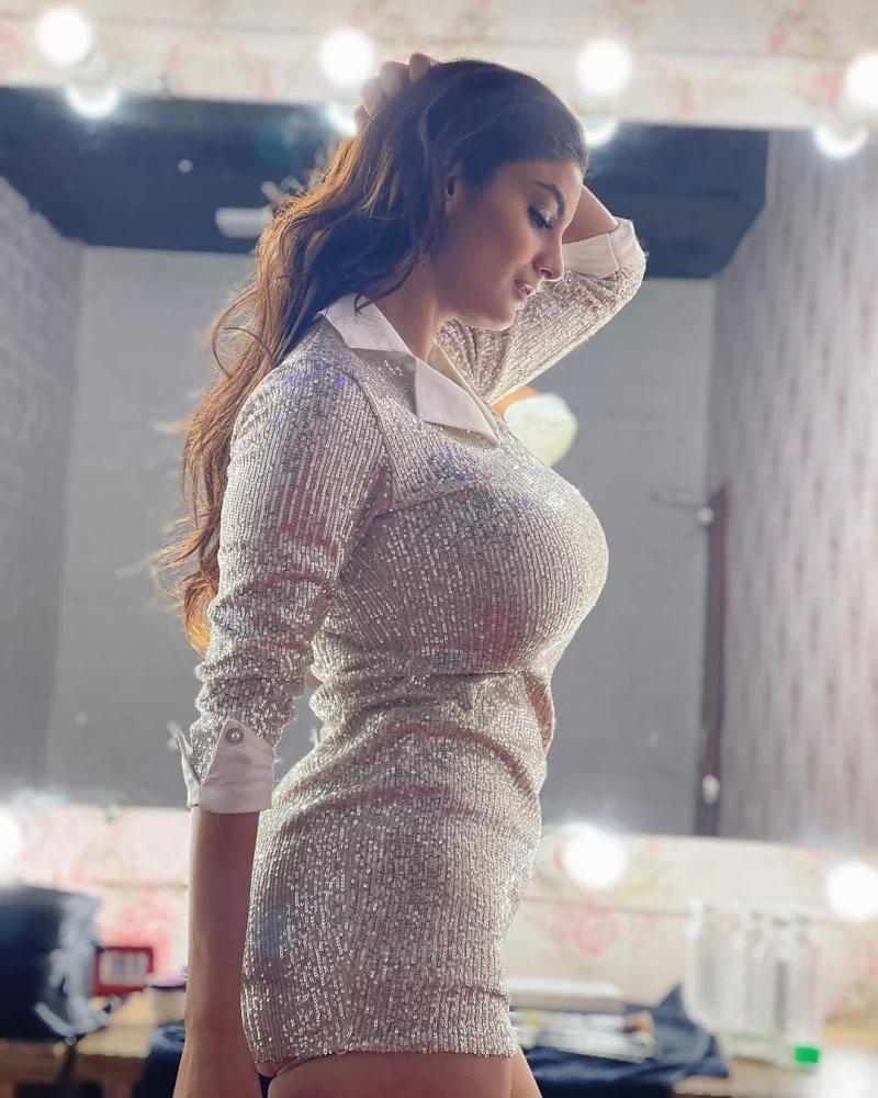 Anveshi Jain looks seductive as she poses for her fans in a silver dress