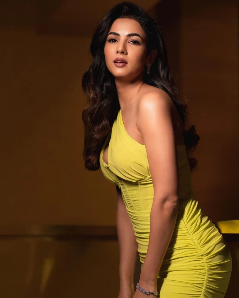Sonal Chauhan looks stunning in the ruched dress