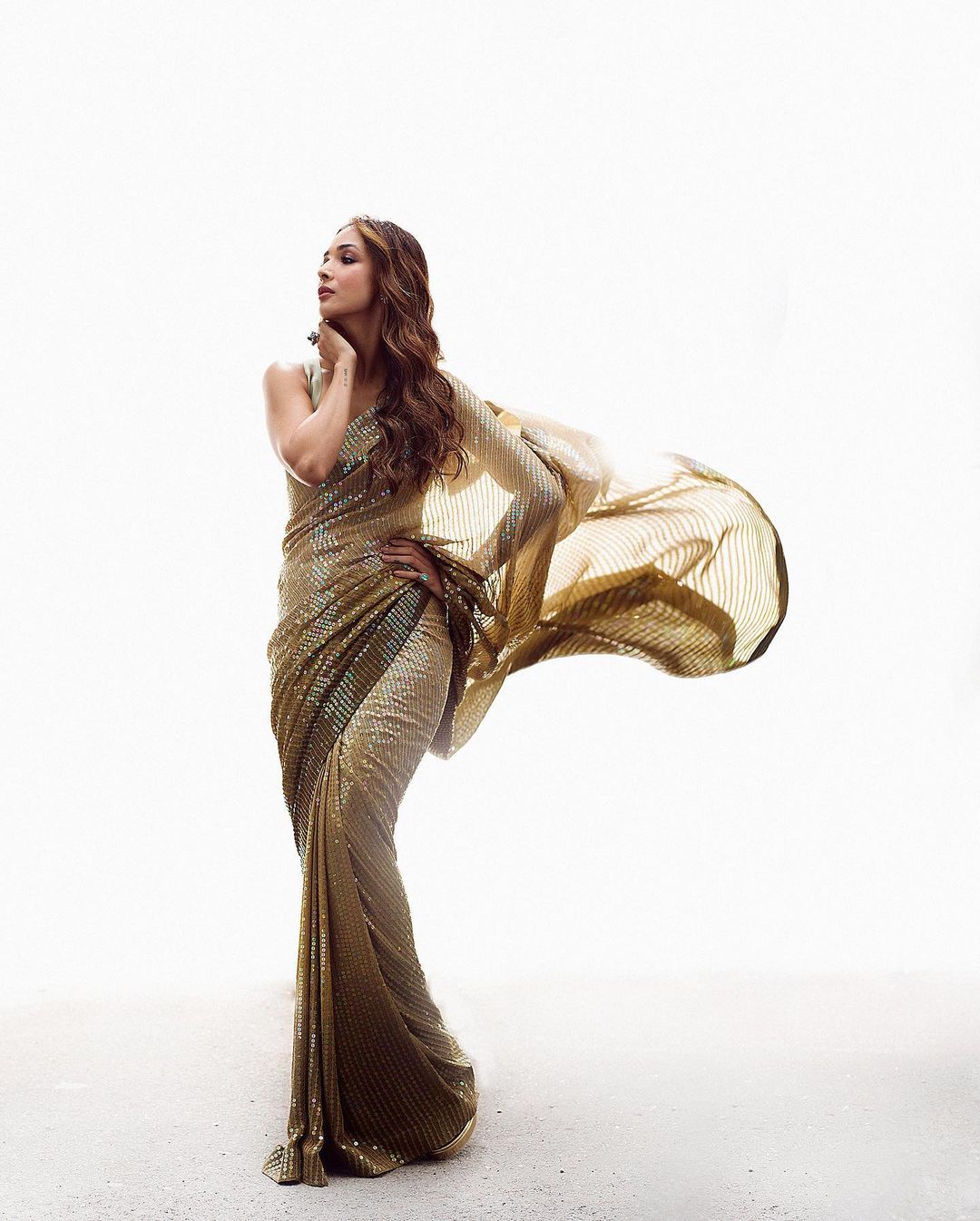 Malaika Arora looks gorgeous in the ombre sequinned saree.
