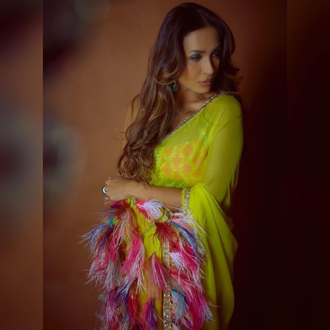 Malaika Arora looks hot as she poses in the saree with feathery details