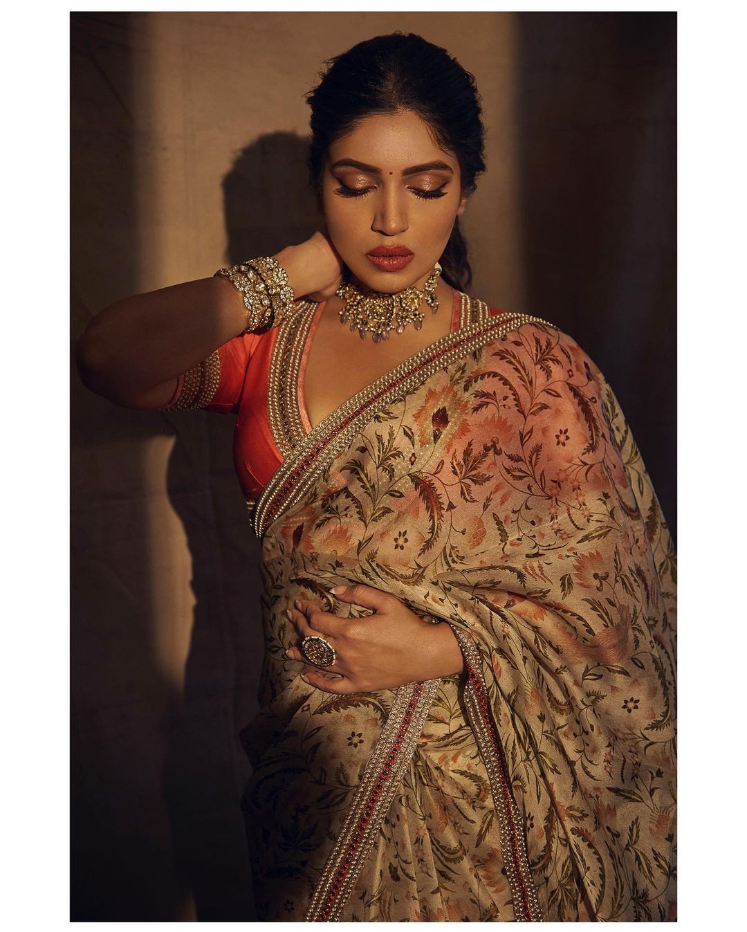 Bhumi Pednekar looks elegant in the printed saree