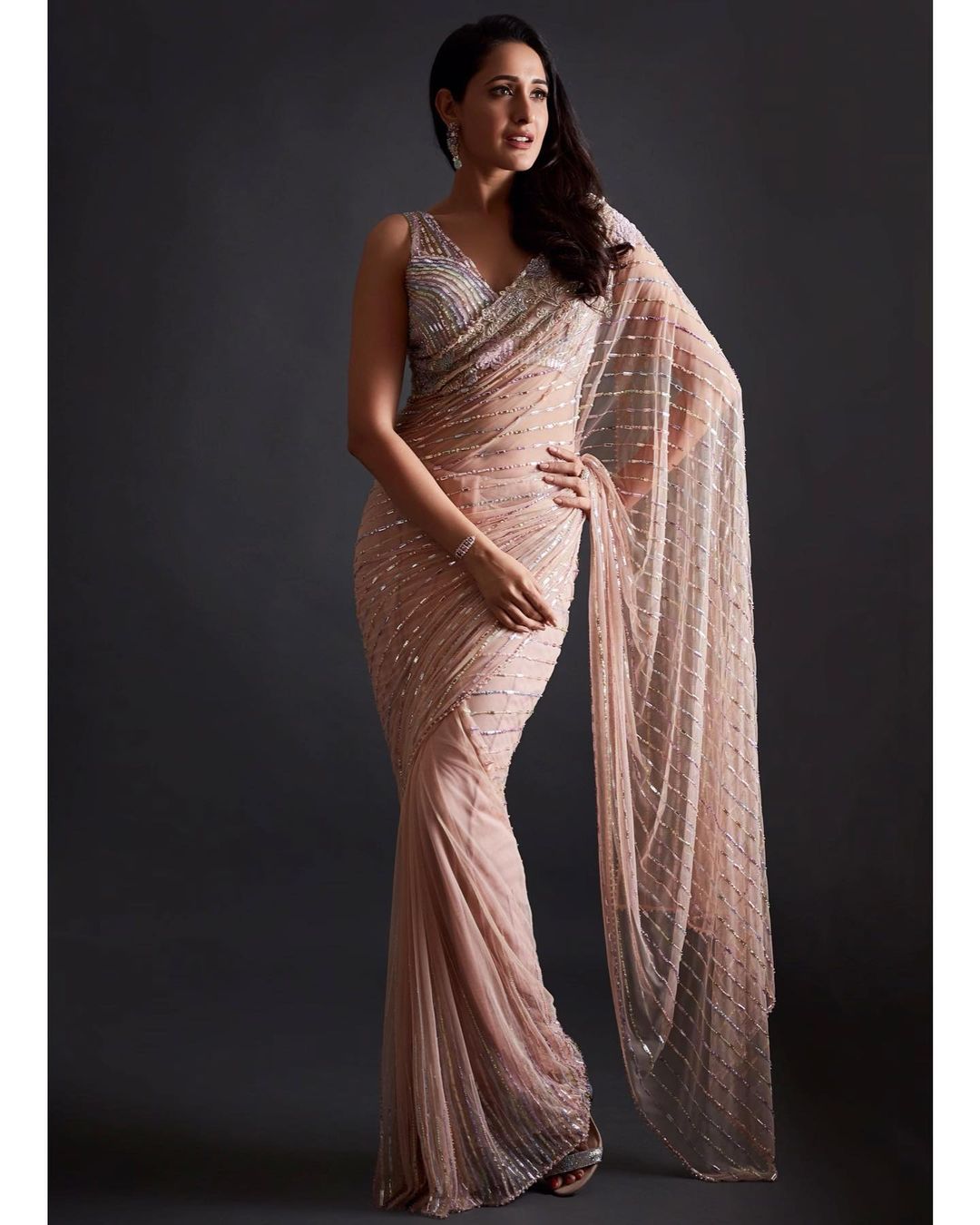ragya Jaiswal looks flawless in the semi-sheer saree