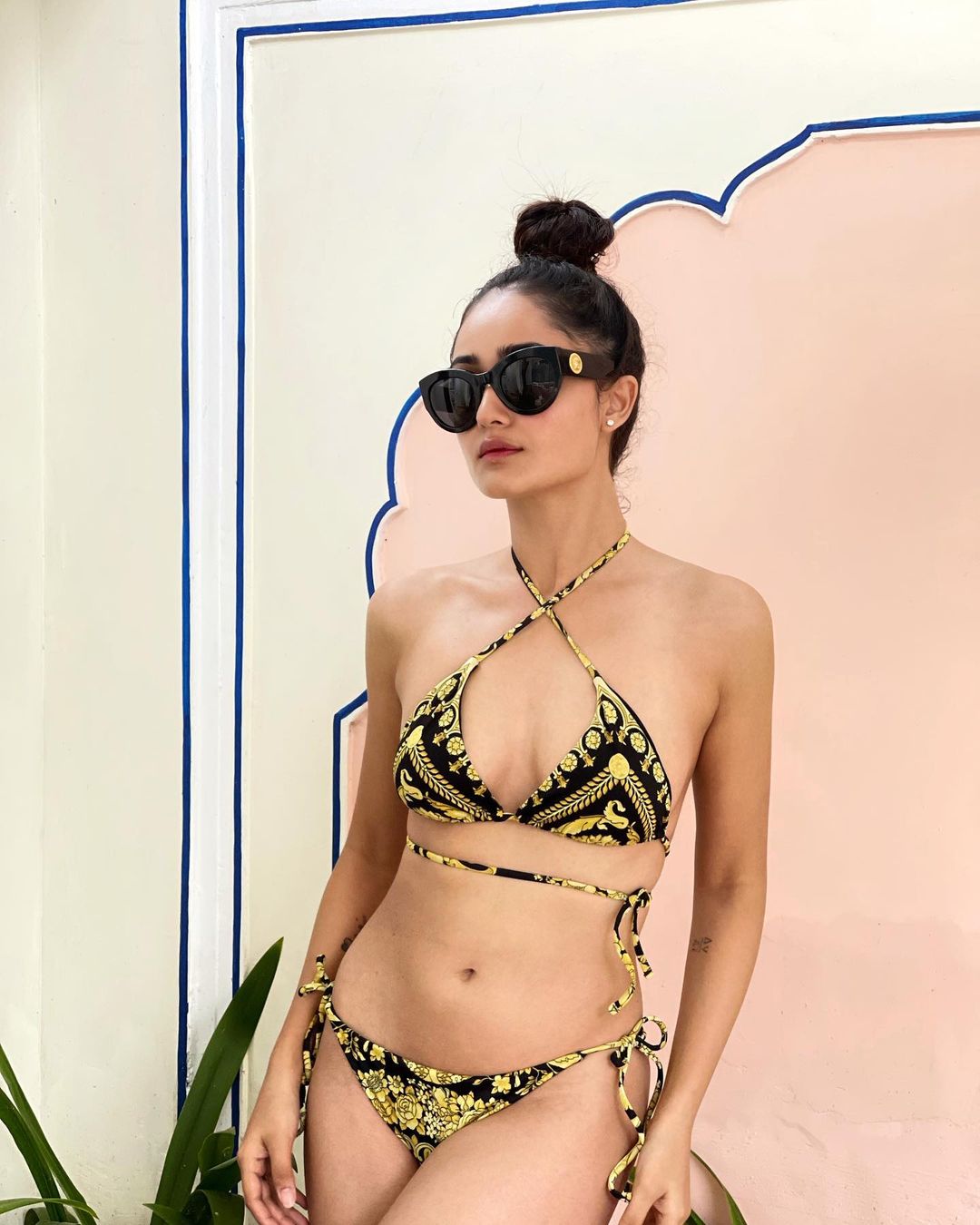 Tridha Choudhury displays her toned body in the printed bikini