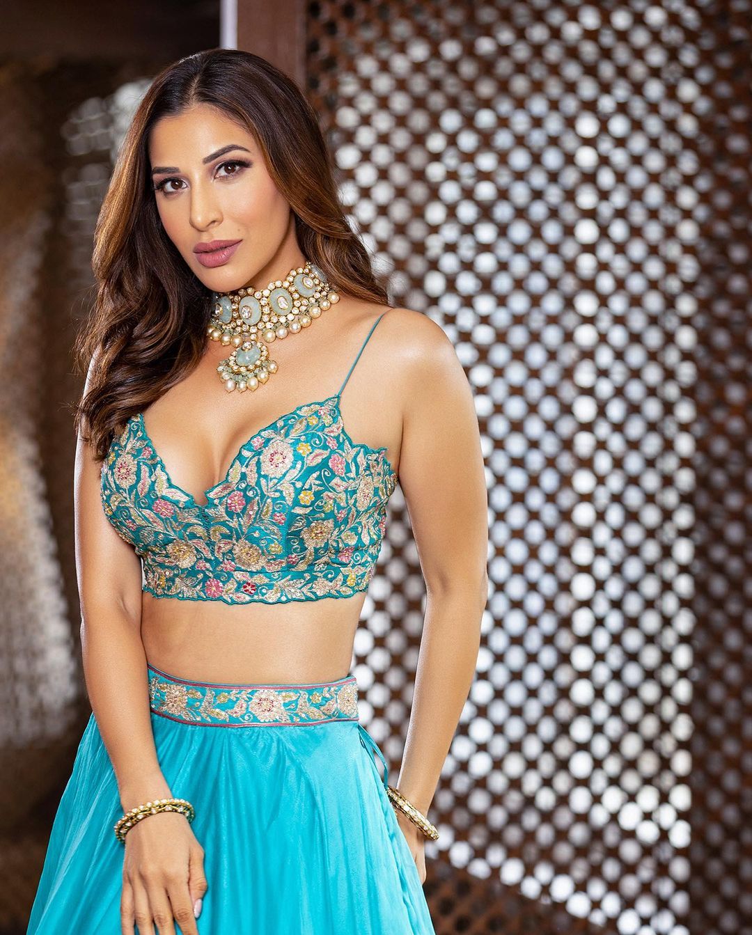 Sophie Choudry flaunts her toned figure in the floral sleeveless choli.