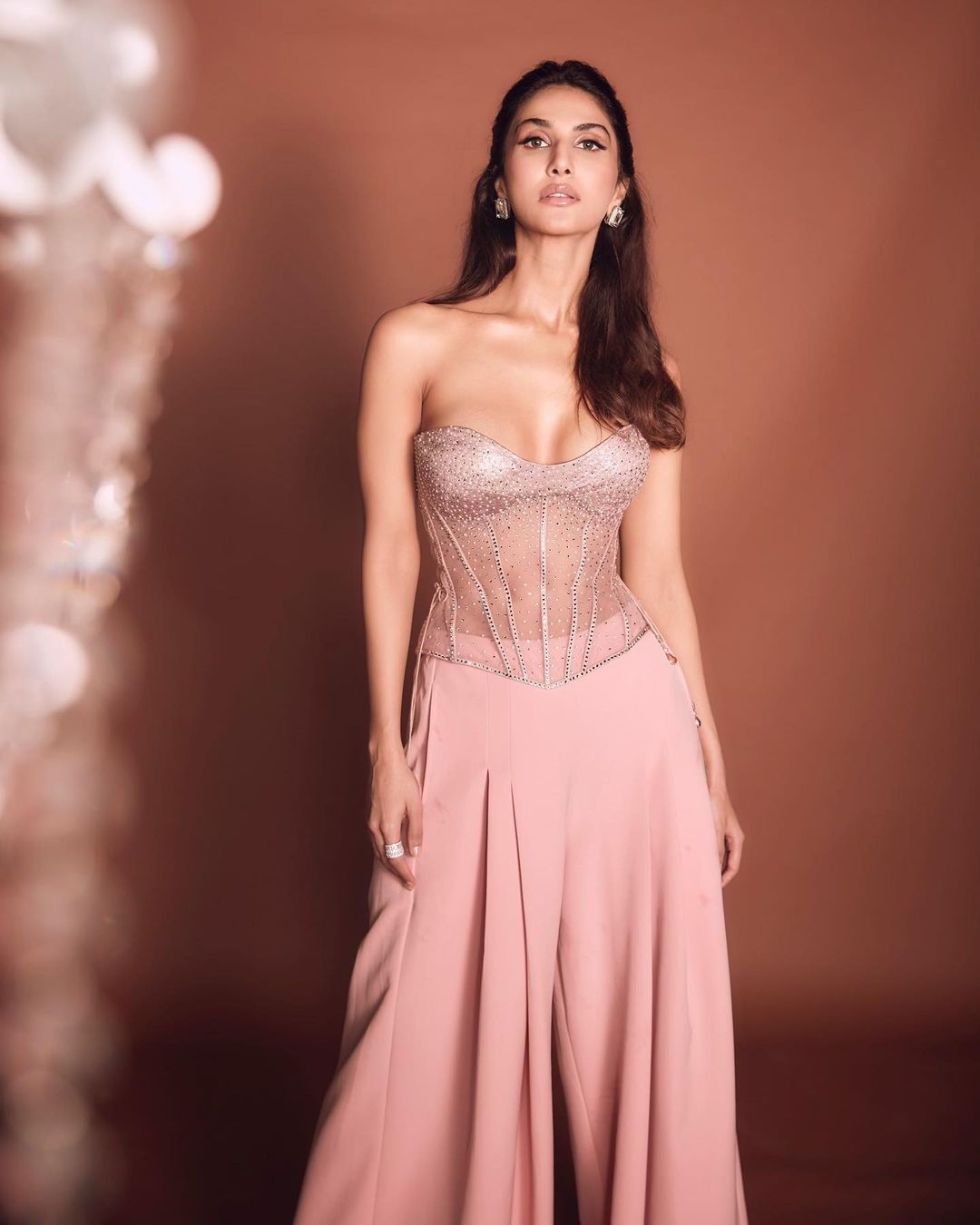 Vaani Kapoor oozes oomph in the see-through corset top and pink pants.