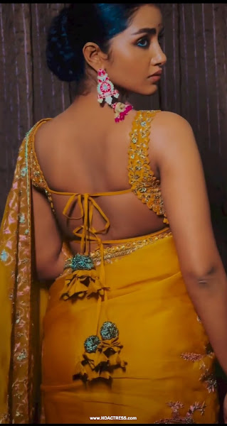 Anupama Parameswaran Sexy In Backless Saree phone Pictures