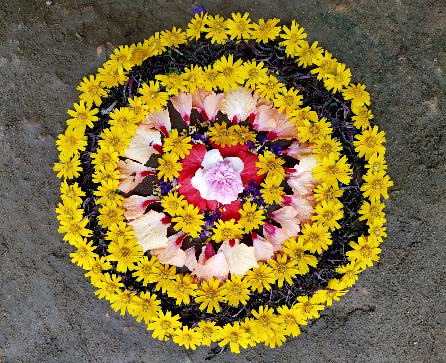 Pookalam is a must-have during Onam celebrations (also spelt as Pookolam). Pookolam/Pookalam is made up of two words: 'Poo' (flowers) and 'Kolam' (flowers) (decorative pattern or rangoli)