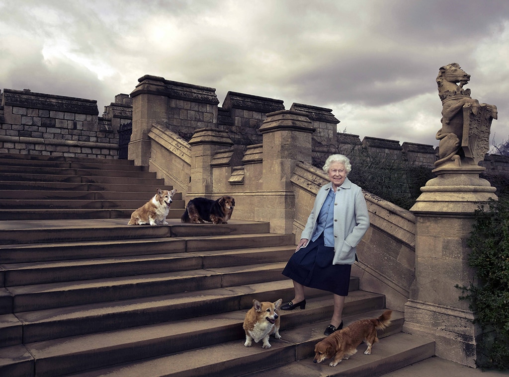 The Queen elizabeth ii appears with her dogs Willow, Vulcan, Candy and Holly on the grounds of Windsor Castle in this 90th birthday portrait released