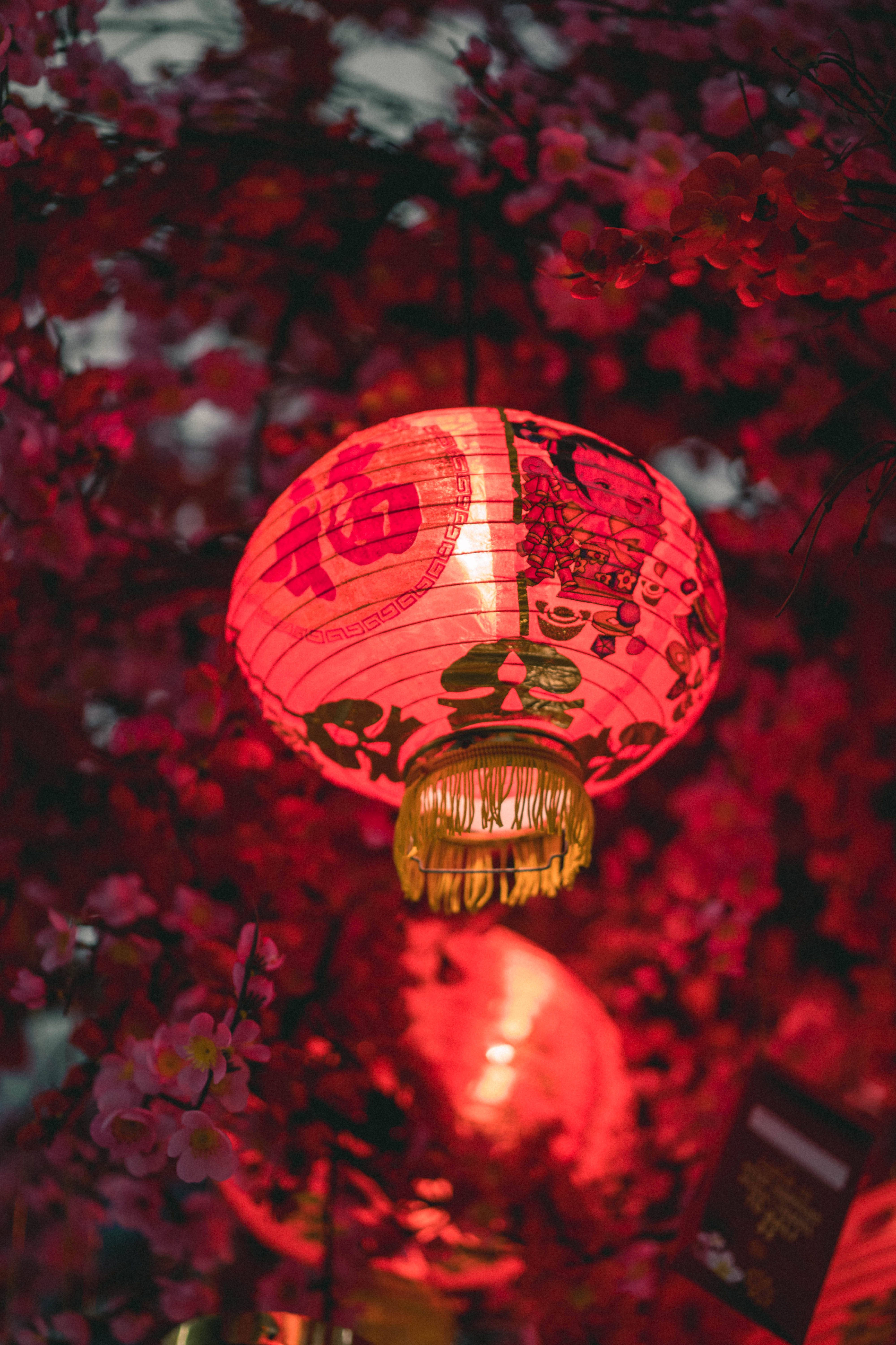 Captivating Mobile Screen Image With A Glowing Red Lantern Hanging On A Tree On Chinese New Year.