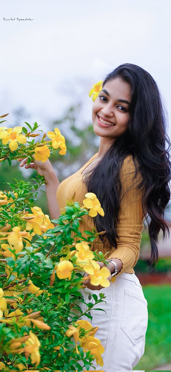 Tamil Actress Ivana Phone Wallpaper