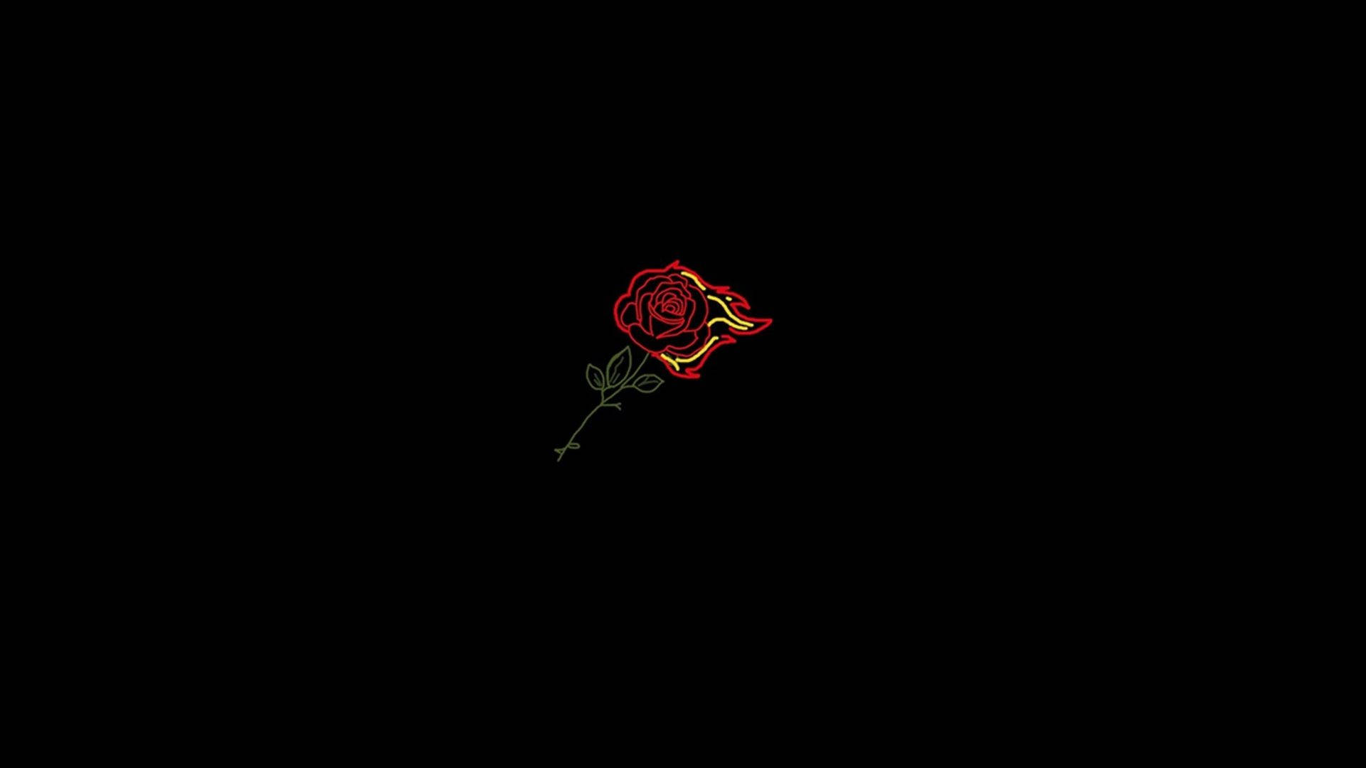 Minimalist Aesthetic Profile Picture Of A Red Rose In An Outline Drawing Against A Pitch Black Background