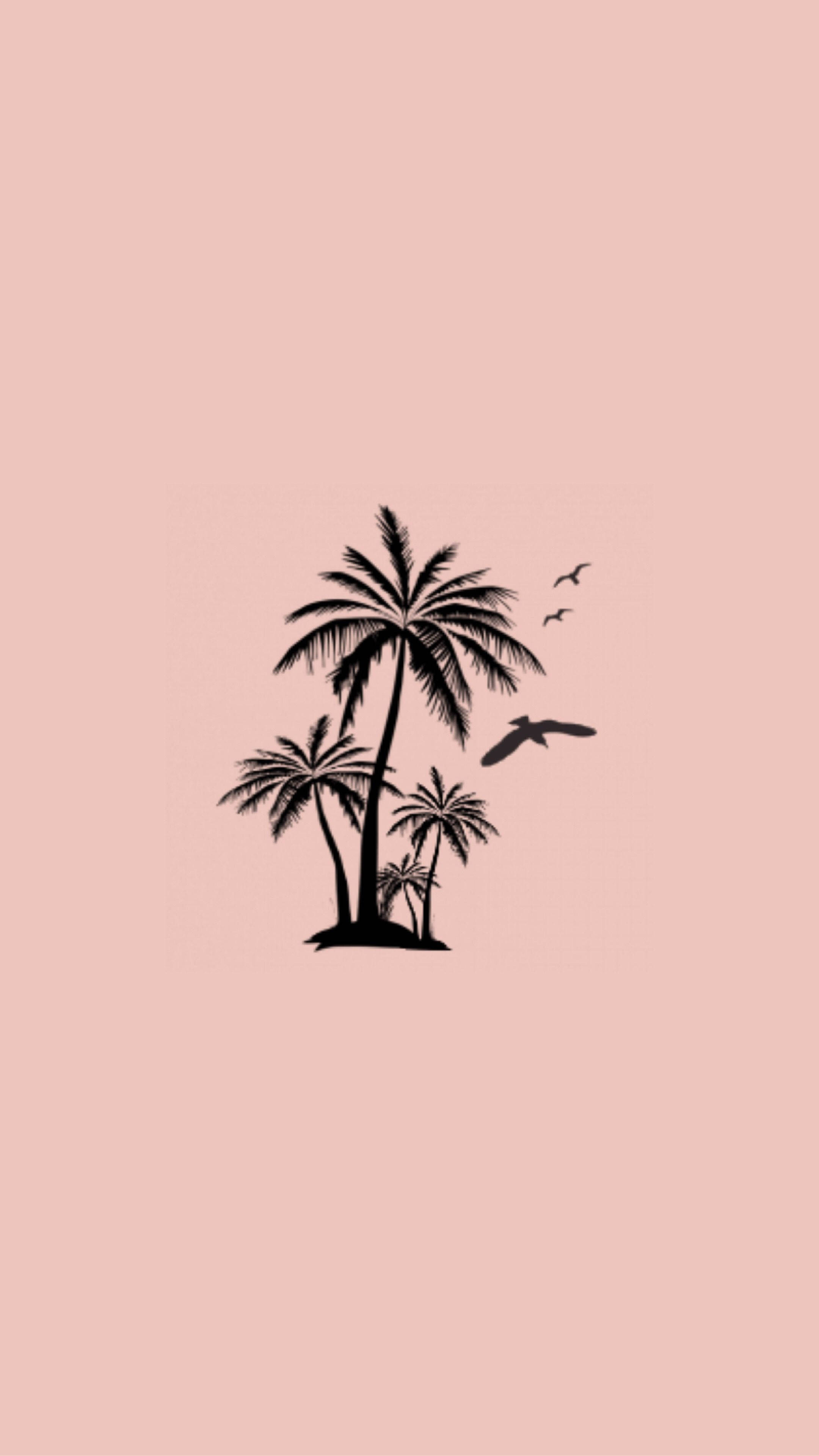 Minimalist Girly Aesthetic Profile Picture Of Palm Trees And Flying Birds In Black Shade On A Plain Pink Background