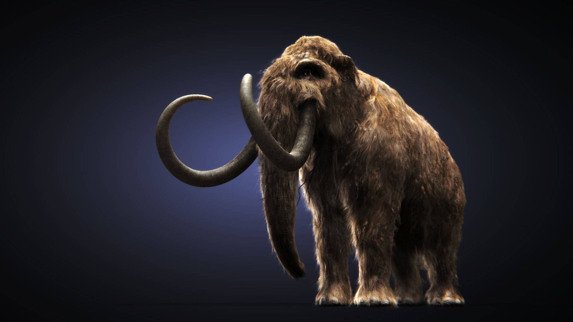 Mammoth In 3d Complete With All The Details Making It Look Realistic