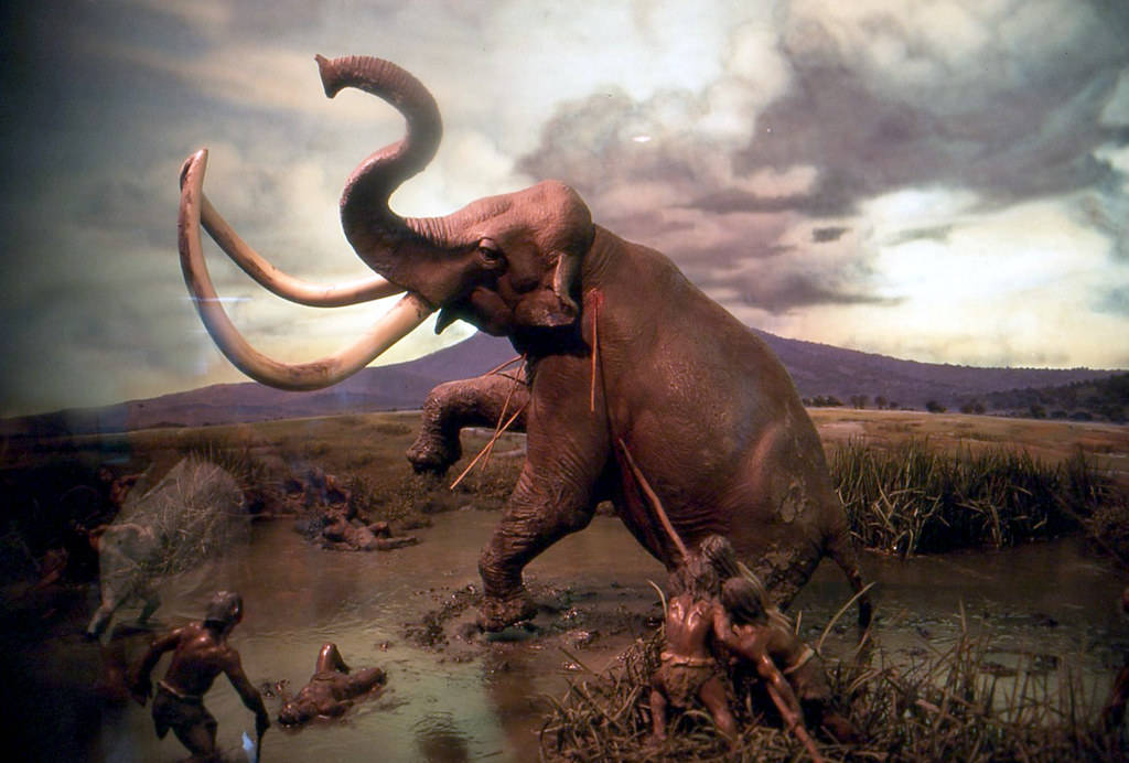 Sad Wallpaper Of A Mammoth Being Stabbed And Shot With Spears By Humans